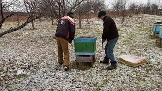 ПЧЕЛОВОДСТВО №36 Заносим пчел на зимовку
