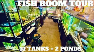 Fish Room Tour | 31 Fish Tanks + 2 Ponds