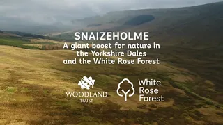 Woodland creation update at Snaizeholme