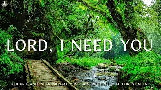 Lord, I Need You: Prayer Instrumental Music, Meditation & Prayer Music with Nature 🌿Divine Melodies