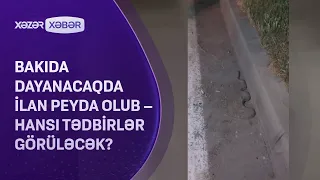 Bakıda dayanacaqda ilan peyda olub – Hansı tədbirlər görüləcək?