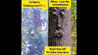 fake tree elf vs real elf be like... #shorts #elf #funny #elves #duende #goblin #duwende #engkanto