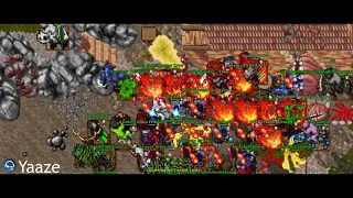 Tibia Peloria Reapers vs. Sleepers War Part 17