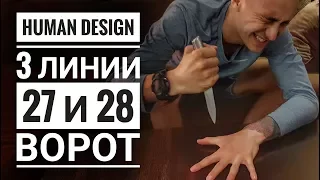 Дизайн Человека 27 и 28 ворота. 3 линии Даниил Трофимов. Human Design