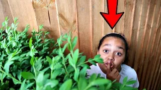 BEST HIDE AND SEEK SPOT IN MY GARDEN!!