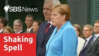 Angela Merkel says she is 'very well' despite third shaking spell in less than a month