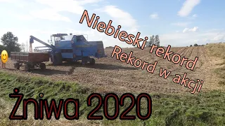 🔥Niebieski rekord NH w pszenicy (🔥 Bizon rekord NH 2x🔥ursus c 360)