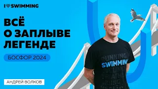 Босфор 2024. Всё о легендарном заплыве от победителя Андрея Волкова