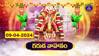 Sri Kodandaramaswamy Vari Brahmotsavalu || Garuda Vahanam || Tirupati || 09-04-2024 || SVBCTTD