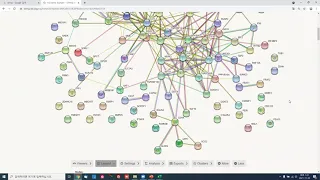 String, ClueGO, Custom Network Analysis with Cytoscape