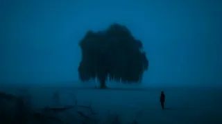 solitude, focus and peace. (dark ambient music playlist)