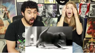 5 DISTURBING VIDEOS Taken From The DEEP WEB REACTION & DISCUSSION!