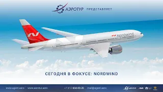 Сегодня в фокусе: Nordwind