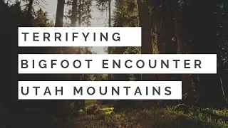 Terrifying Bigfoot Encounter 🙉Utah Mountains