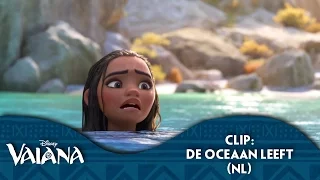 Disney Vaiana - Clip: De Oceaan Leeft (NL gesproken)