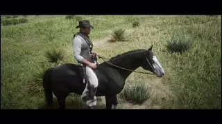 Red Dead Redemption 2 How To Get The Gang Horses As Arthur