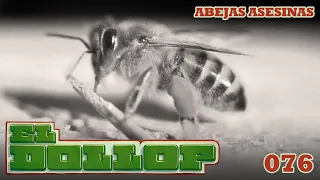 E76: Abejas Asesinas