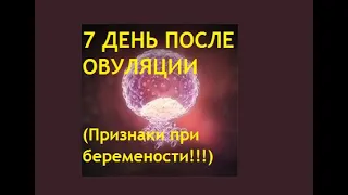 👶7 ДПО. 💥Ощущения на 7 день после овуляции при беременности. Что происходит с зародышем. Имплантация