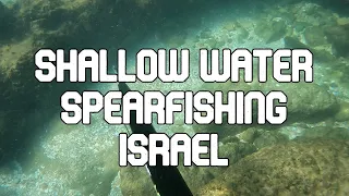 SHALLOW WATER #spearfishing #spearfishingjourney #israel