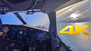 Boeing 737 Max | Faro landing | Cockpit view