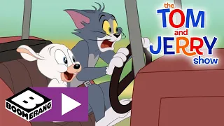 The Tom and Jerry Show | Crazy For Ewe | Boomerang UK