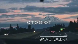 Cvetocek7 - уйду туда где небеса