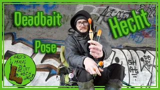 Auf Hecht mit der Pose - Mit Köderfisch läuft´s!