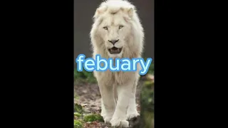 your lion your month