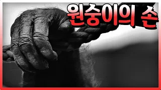 인간이 쉽게 빌어서는 안될 소원, 원숭이의 손[무서운 이야기]