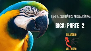 parque Zoobotânico Arruda Câmara ( Bica ) parte 2