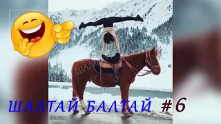 10 МИНУТ ОТБОРНЫХ ВИДЕО // ШАЛТАЙ БАЛТАЙ #6