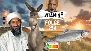 Bin Laden auf Esel oder Lachs nach Sylt geritten? 🐎🐬 | Samatou & Endres | Vitamin X Satire-Podcast