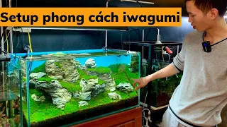 Làm bể cá phong cách iwagumi | Nguyễn Du Aqua