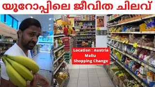 cost of living in Europe Austria Mallu Shopping Challenge | Europe Austria Malayalam Food & Travel