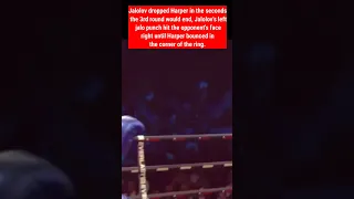 Bakhodir jalolov vs Curtis harper KO🥊