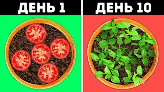 24 ГЕНИАЛЬНЫЕ ИДЕИ ДЛЯ ВЫШЕГО САДА