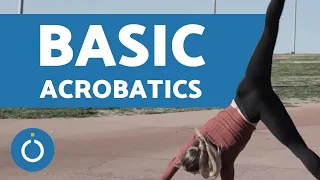 BASIC ACROBATICS course (COLLECTION)