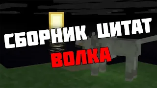 Сборник цитат ВОЛКА #1 | Цитаты с видео