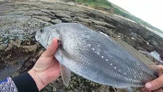 KOB SMASH at Sheffield Beach Today