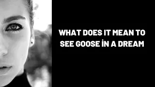 What Does It Mean To See Goose in a Dream?