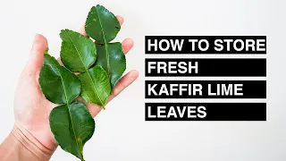 How to store fresh kaffir lime leaves │Pana Napa Kitchen