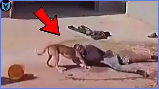 30 Heart-Stopping Moments When Thieves Encounter Dogs!