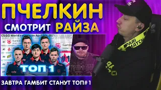 Пчелкин смотрит Райза " ЗАВТРА ГАМБИТ СТАНУТ ТОП#1 ХЛТВ "