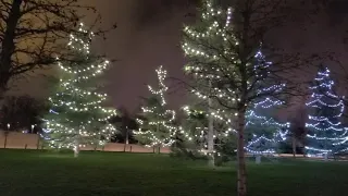 Новогодняя ночь в парке Краснодар Галицкого  Новый 2024 год