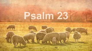 Psalm 23 - The LORD is my Shepherd - KJV with words