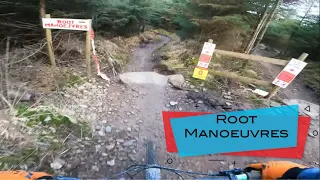 Root Manoeuvres | Bike Park Wales | Best trail at the park??