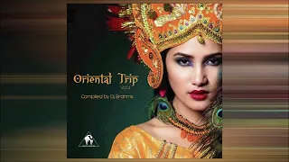 Oriental Trip, Vol. 4 (Compiled by Dj Brahms)
