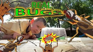 Vacuum BUG HUNT for REAL BUGS - CREEPY Wheel Bug, COCKROACHES, worms, BEETLES. earwigs & MORE!!