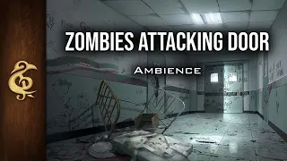 Zombies Attacking Door | Stressing ASMR Ambience | 1 Hour