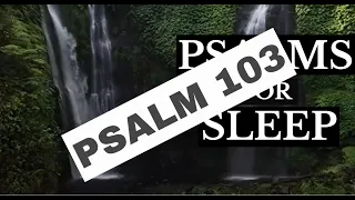 Psalm 103 | Part 2 Why should you bless the LORD? Meditate over these reasons and bless the LORD!